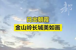 裁判报告：尼克斯吃亏更多 但再次承认致命漏判对活塞不利